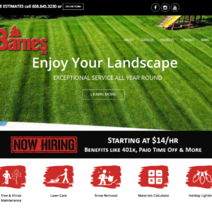 Barnes Website Design Homepage